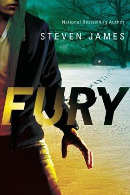 خرید کتاب انگليسی Blur Trilogy-Fury-Book2-Full Text