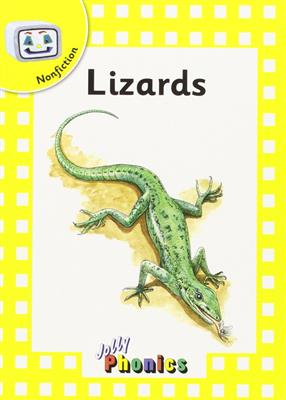 خرید کتاب انگليسی Nonfiction 4 Lizards