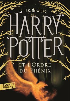 خرید کتاب فرانسه Harry Potter - Tome 5 : Harry Potter et l'Ordre du Phenix